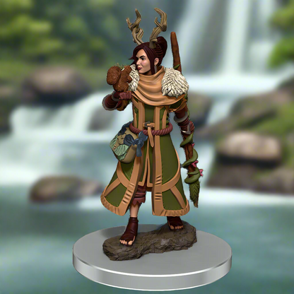 D&D Premium Painted Figures
