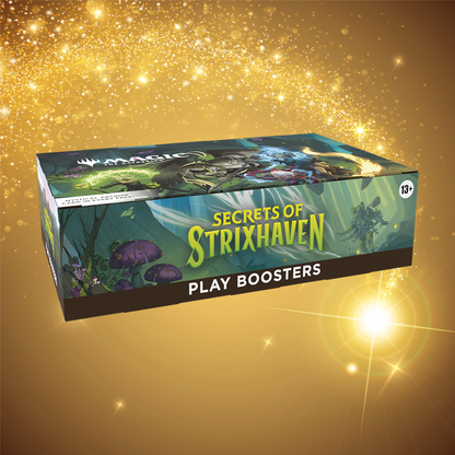 Magic the Gathering Play Booster Box