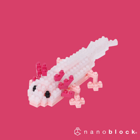 Nanoblock